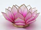 Tuotekuva: Rosa lootuslyhty Tuotekuva: Rosa lootuslyhty